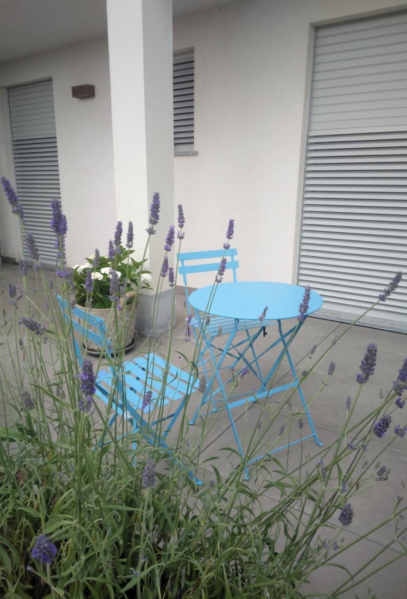 Apartmán Cicci House Alba  Exteriér fotografie